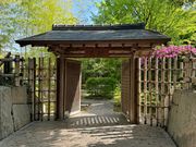 Culture Japan�̎ʐ^2