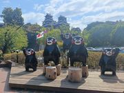Monster Kart�̎ʐ^2