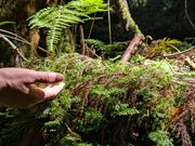 Andy's 8909 GUIDE�̎ʐ^4