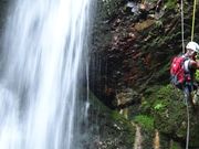 BERGTOAD_outdoor�̎ʐ^2