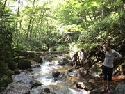 BERGTOAD_outdoor�̎ʐ^3