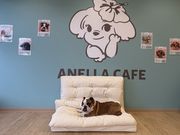 ANELLA CAFE ���m�C���X�̎ʐ^2