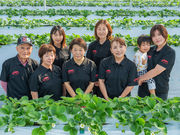 Berry Days Goi�̎ʐ^2