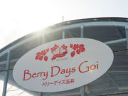 Berry Days Goi�̎ʐ^4