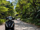 IslandMobility�̎ʐ^3