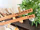 CRAFT JAPAN���X�̎ʐ^2