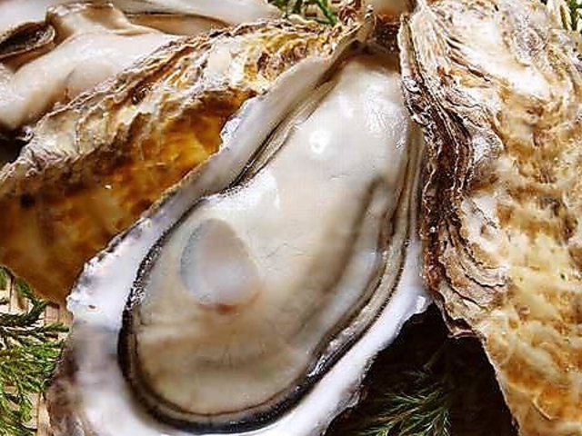 �΂��� ���y basara�̎ʐ^1