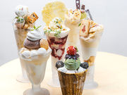 K̃Vs XC[g Plus ptF Dy̎ʐ^1