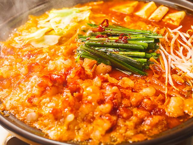 ؂͂ nicoya ɂ̎ʐ^1