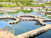 賢島フィッシングパーク 海遊苑の写真1