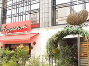 �A���W�F�p�e�B�I�̎ʐ^1