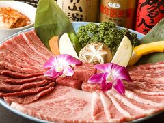 ���t ���J�X�̎ʐ^1