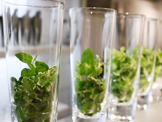 GREEN LAB O[{ mojito bar̎ʐ^1