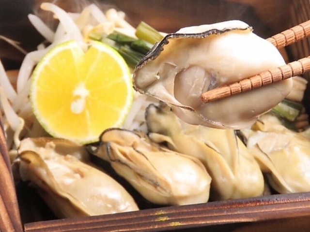 ������ �V�S�̎ʐ^1