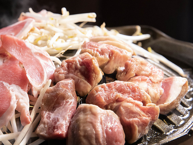 �k�C���W���M�X�J�� �ڈΉ��̎ʐ^1