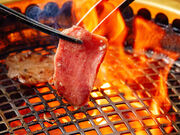 �ē��ΓX �c���̎ʐ^1