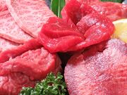 ����̂�̎ʐ^1