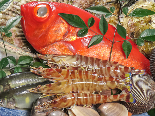 �n��52�N ������� �Z���̎ʐ^1