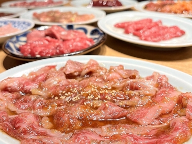 �ē��z���������� ���V���X �򕌉w�O�X�̎ʐ^1