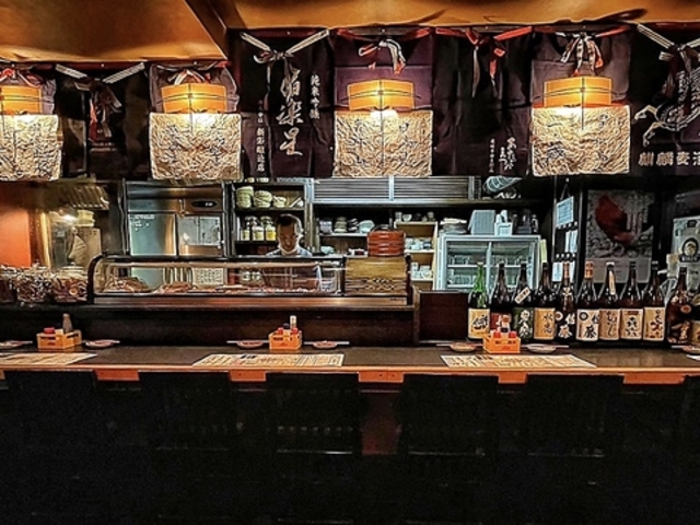 YĂƓ Β HINOTORI qmg̎ʐ^1