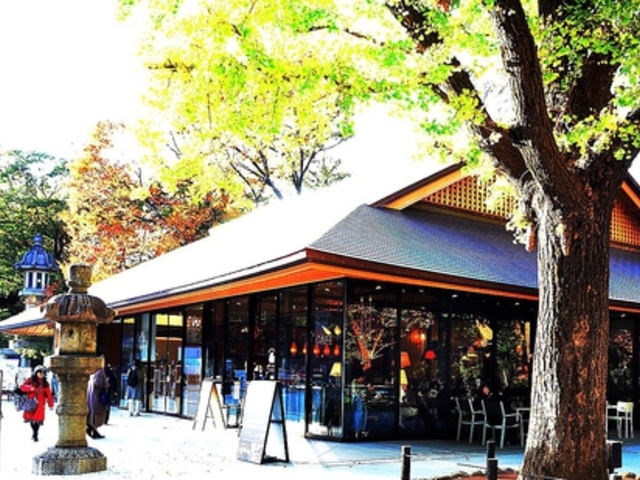 atticroom YASUKUNI GAIEN̎ʐ^1