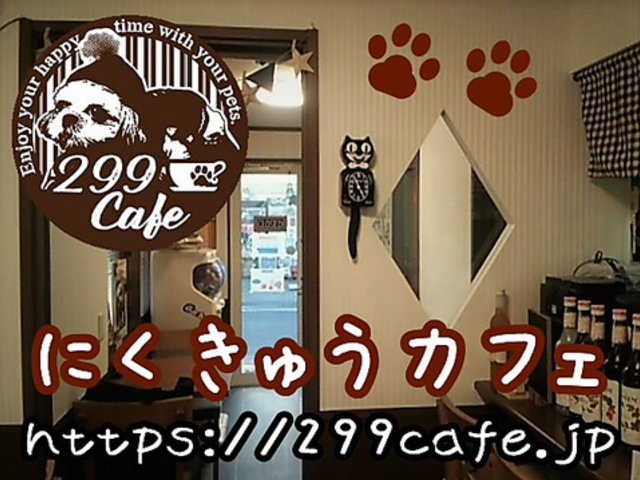 �ɂ����イ�J�t�F�̎ʐ^1