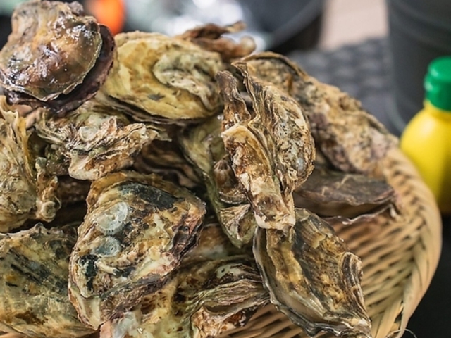 WOOD DESIGN PARK EbhfUCp[N Ԃ̎ʐ^1