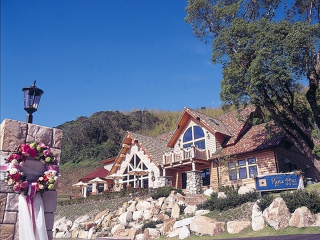 K[fXg&EGfBO [vq̎ʐ^1