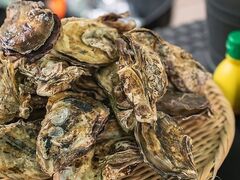 WOOD DESIGN PARK EbhfUCp[N Ԃ̎ʐ^1