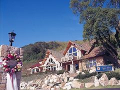 K[fXg&EGfBO [vq̎ʐ^1