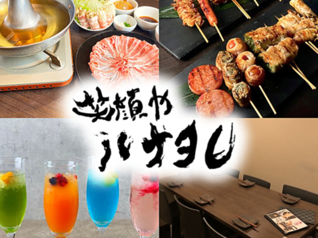 �Ί��n�i�^���̎ʐ^1