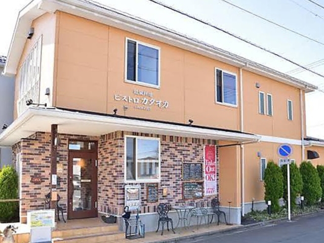 �r�X�g���J�^�I�J�̎ʐ^1