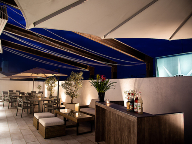 U }Obg THE MAGRITTE̎ʐ^1