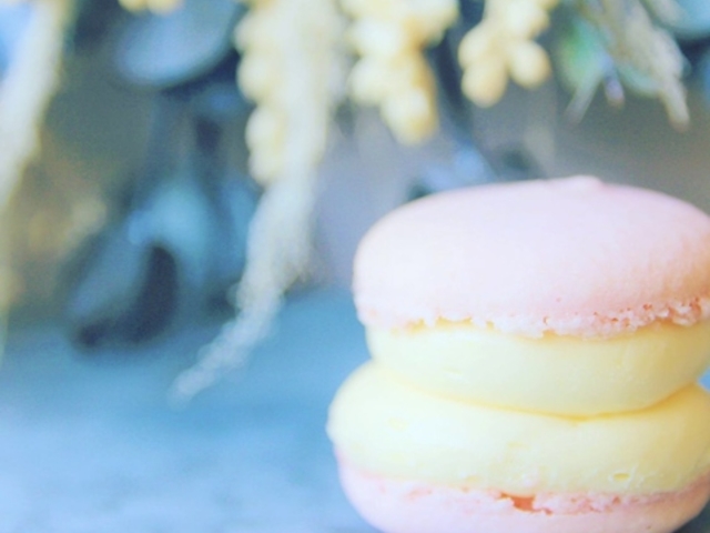 chubby macaron sapporo̎ʐ^1