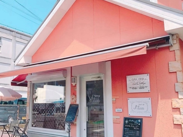 �����A�[�i �I�[�K�j�b�N�J�t�F�̎ʐ^1