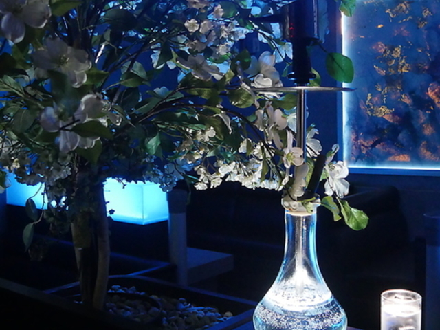 V[V o[EW Vn EG`̎ʐ^1