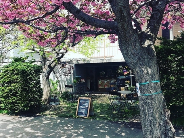 Xp^RX maruyama̎ʐ^1