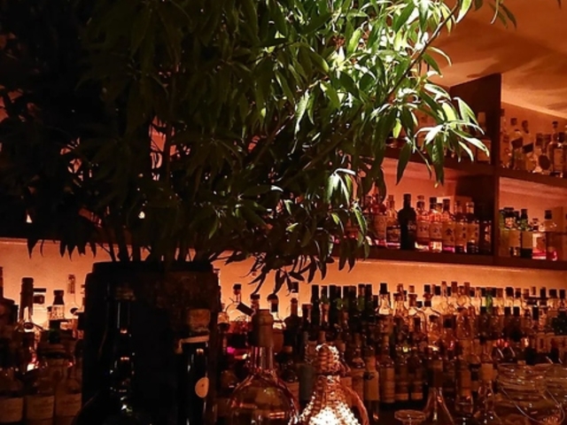 Logensitz g [QWbc̎ʐ^1