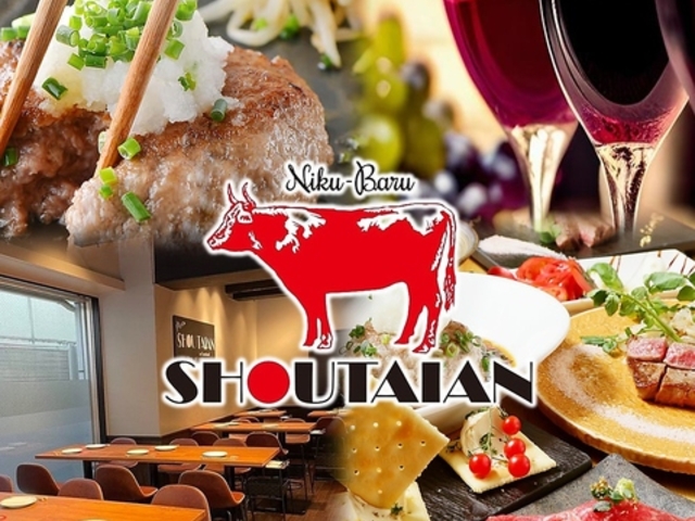 o SHOUTAIAN DX̎ʐ^1