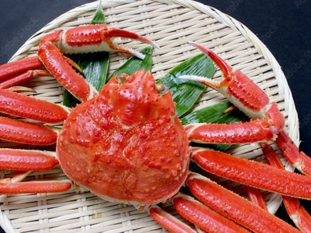 ӂƂɂ̓X S֋ ӂ̎ʐ^1