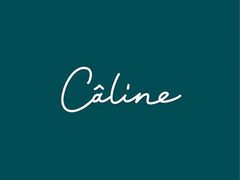 caline J[k̎ʐ^1
