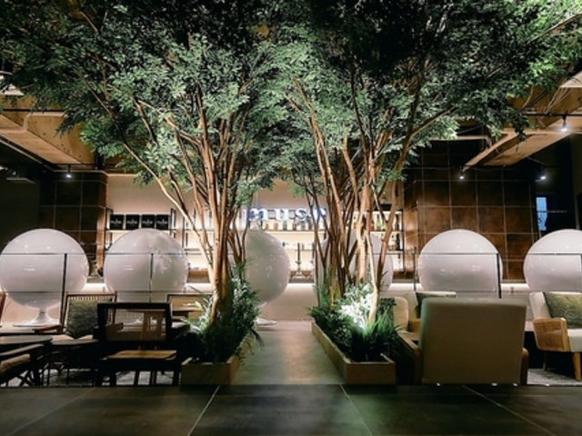 �V�[�V���J�t�F&�o�[ muse �a�J�����X�̎ʐ^1