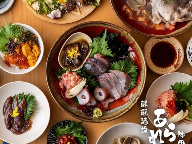 ����ꉮ �_�c�{�X�̎ʐ^1