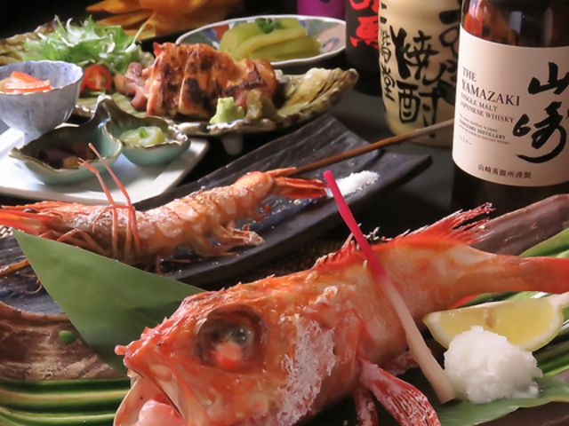 �s�s �ڂ��ڂ� �l�� ��΂̎ʐ^1