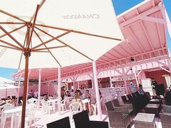 ���q�C�� �C�̉� ���B���B�A�i���]�[�g�N���u�̎ʐ^1