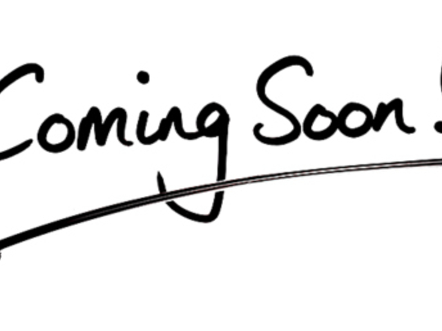 C^A&rAK[f A[ cX̎ʐ^1