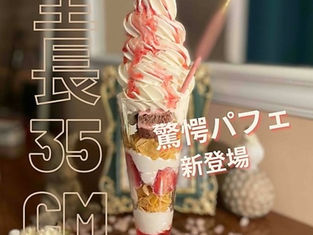 into you HIMEJI PH̃[sAJtF̎ʐ^1