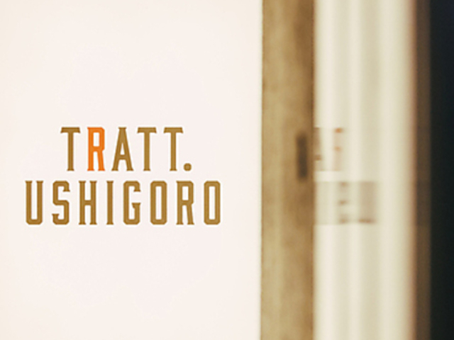 TRATT USHIGORO gbgEVS bX̎ʐ^1