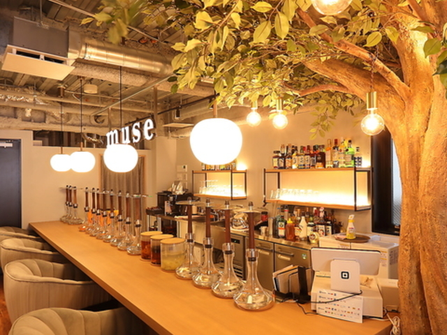 muse �~���[�Y ���k��X�̎ʐ^1