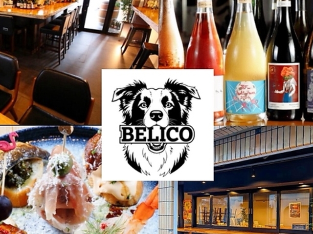 BeliCo xR 󑐃Co̎ʐ^1